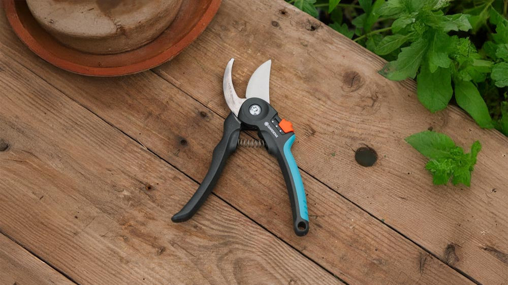 Oksasakset - Blomea.fi