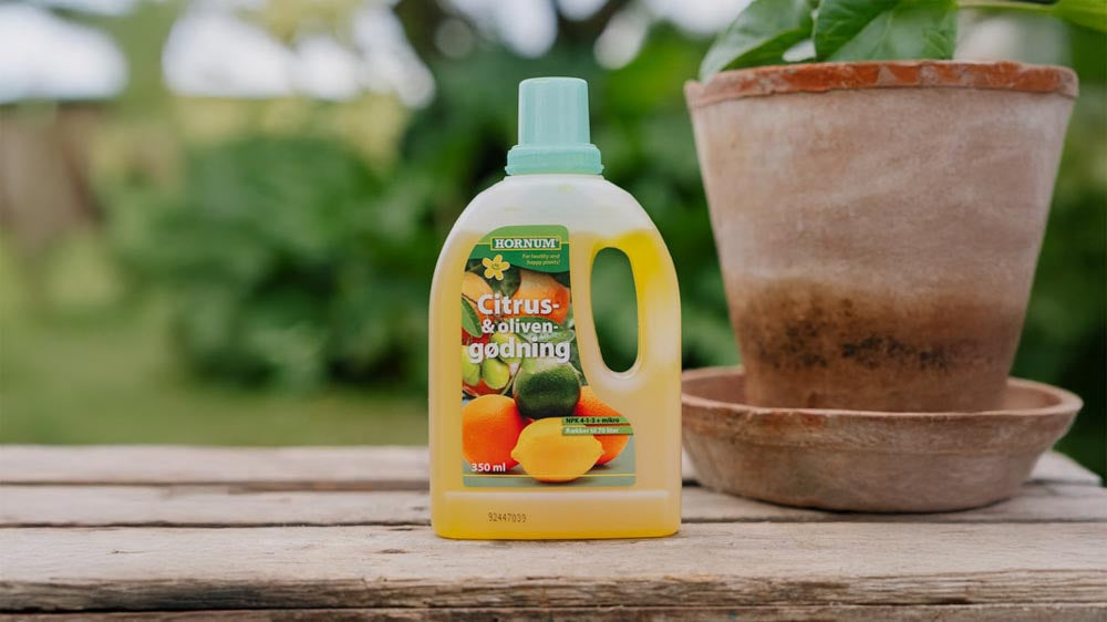 Oliivilannoite - Blomea.fi