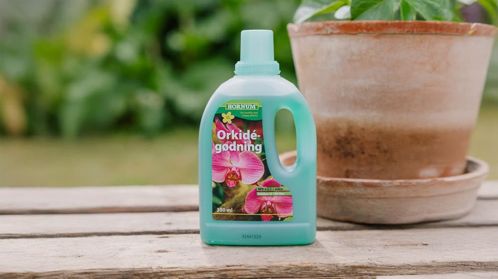 Orkidealannoite - Blomea.fi