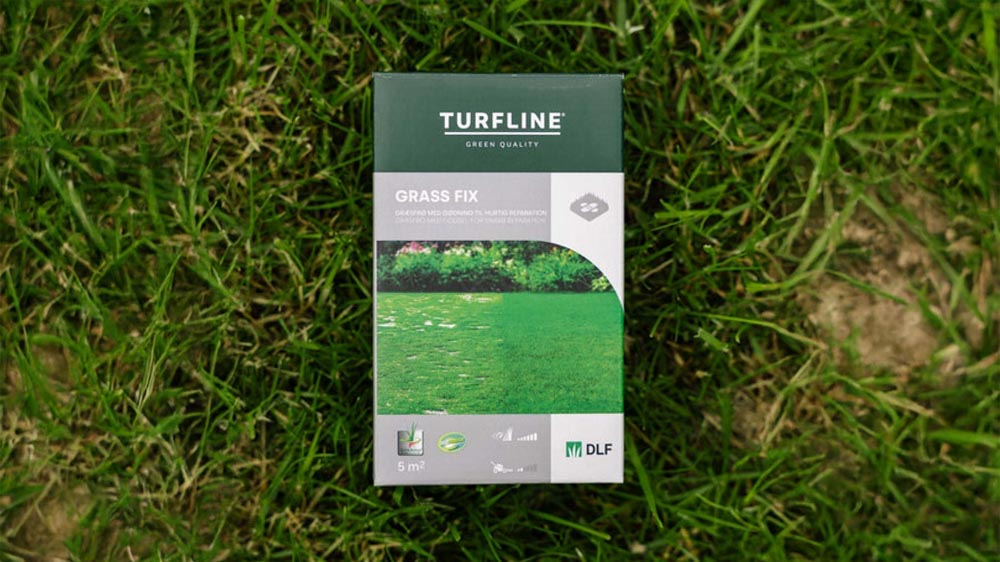 Paikkauskylvö - Blomea.fi