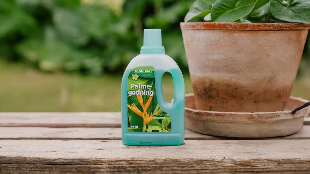 Palmulannoite - Blomea.fi