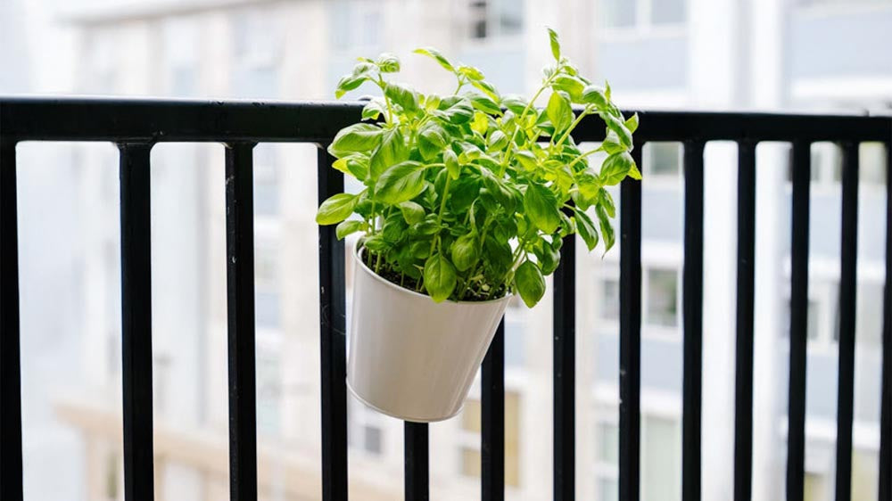 Parvekelaatikot - Blomea.fi