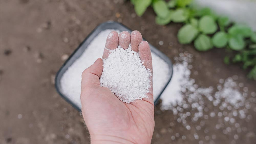 Perliitti - Blomea.fi