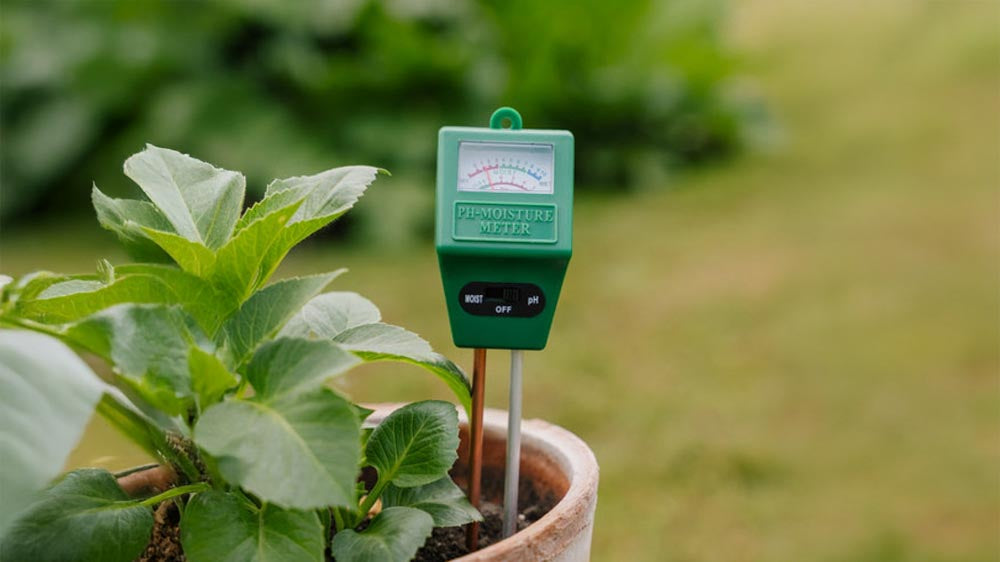 pH-mittarit - Blomea.fi