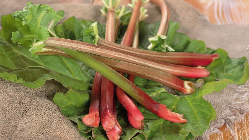 Raparpereja - Blomea.fi