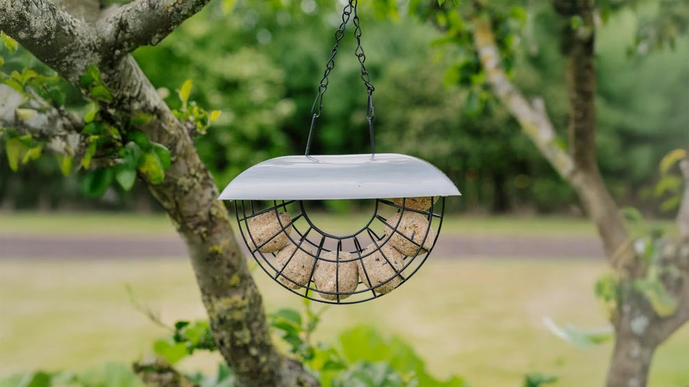 Ruokinta-automaatit - Blomea.fi