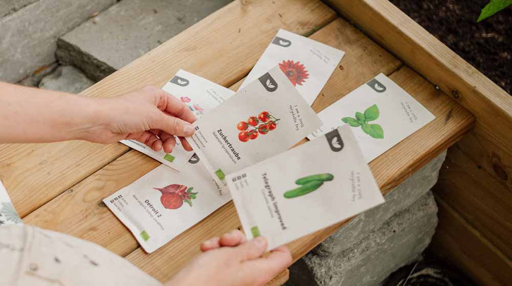 Siemenet - Blomea.fi