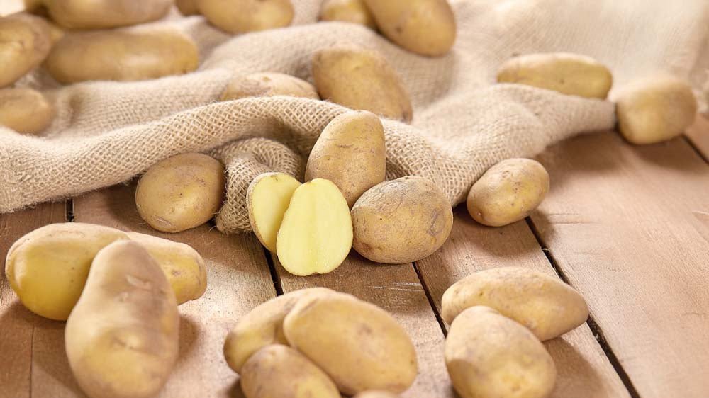 Siemenperunat - Blomea.fi