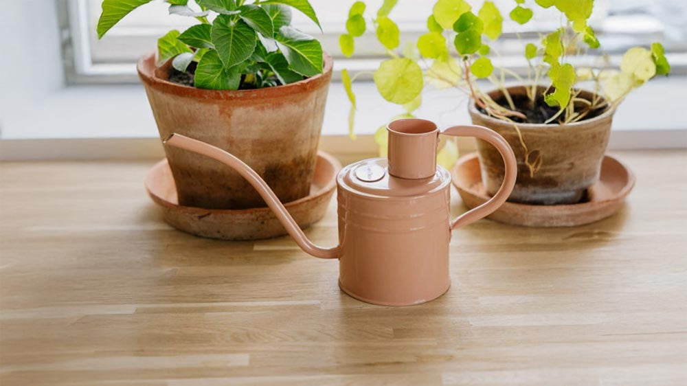 Sisätilojen kastelukannu - Blomea.fi