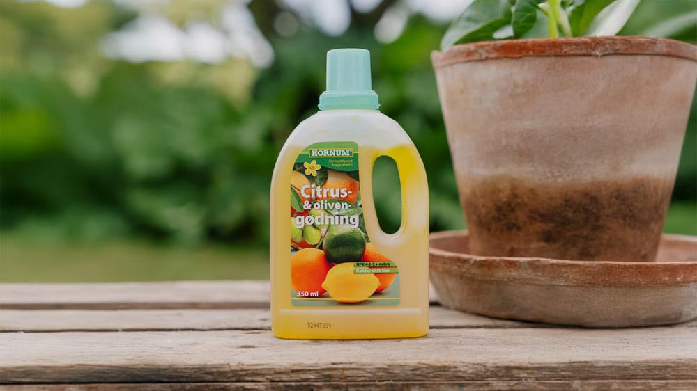 Sitruslannoite - Blomea.fi