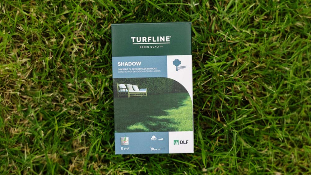 Varjonurmikko - Blomea.fi