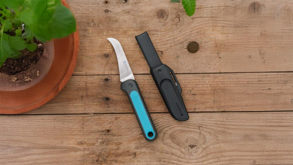 Vihannesveitsi - Blomea.fi