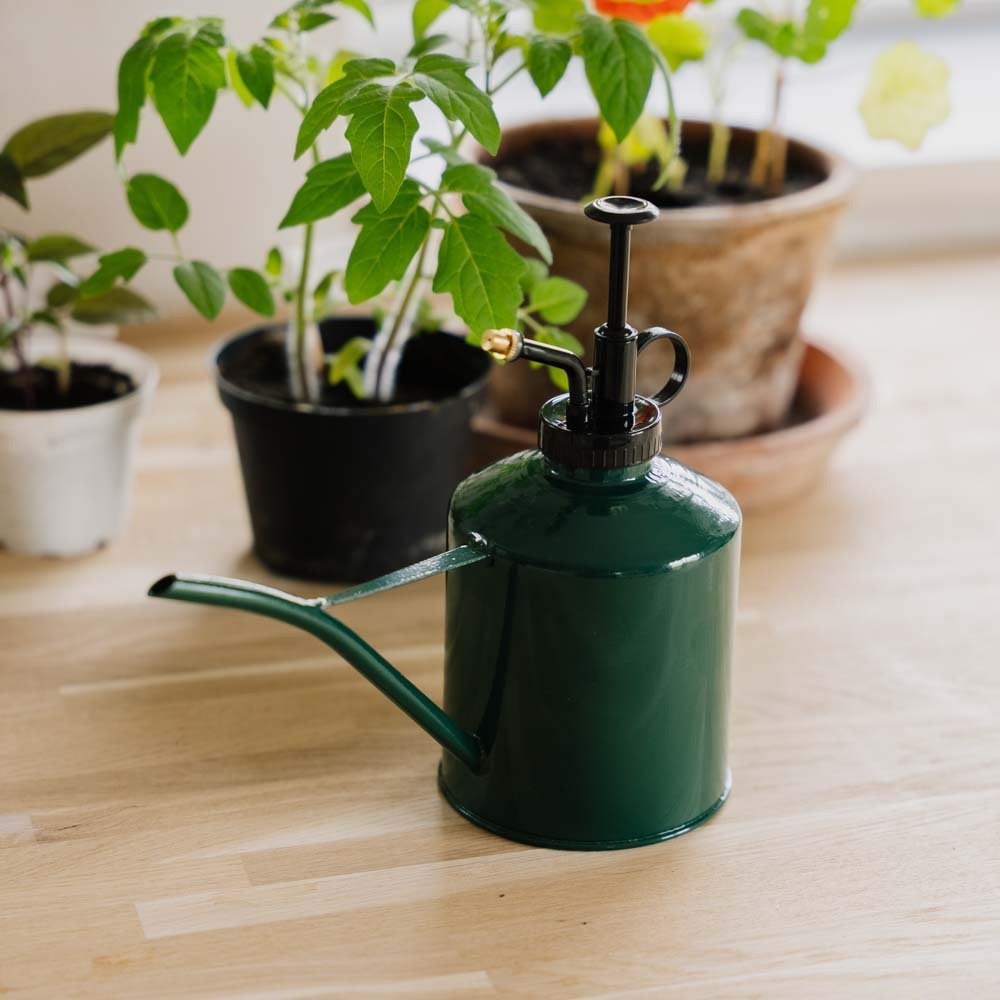 2 - in - 1 kastelukannu ja sumutin, 0,625 L