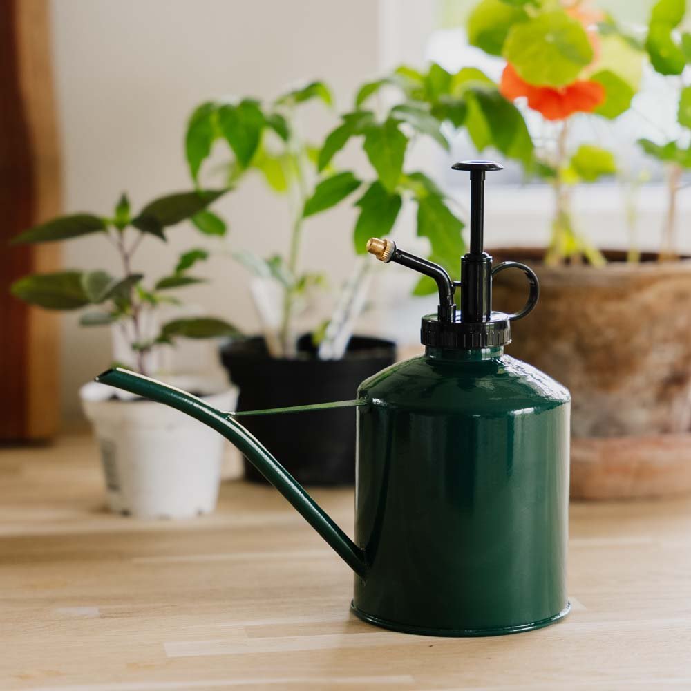 2 - in - 1 kastelukannu ja sumutin, 0,625 L