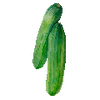Vihannesten siemenet