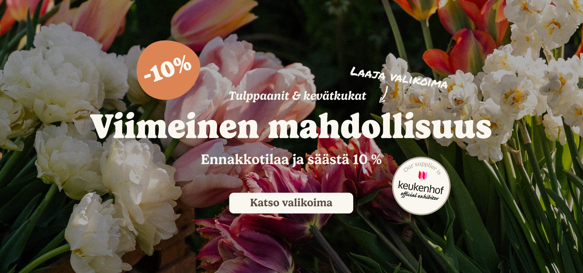 slider image slider_item_cVjxz7