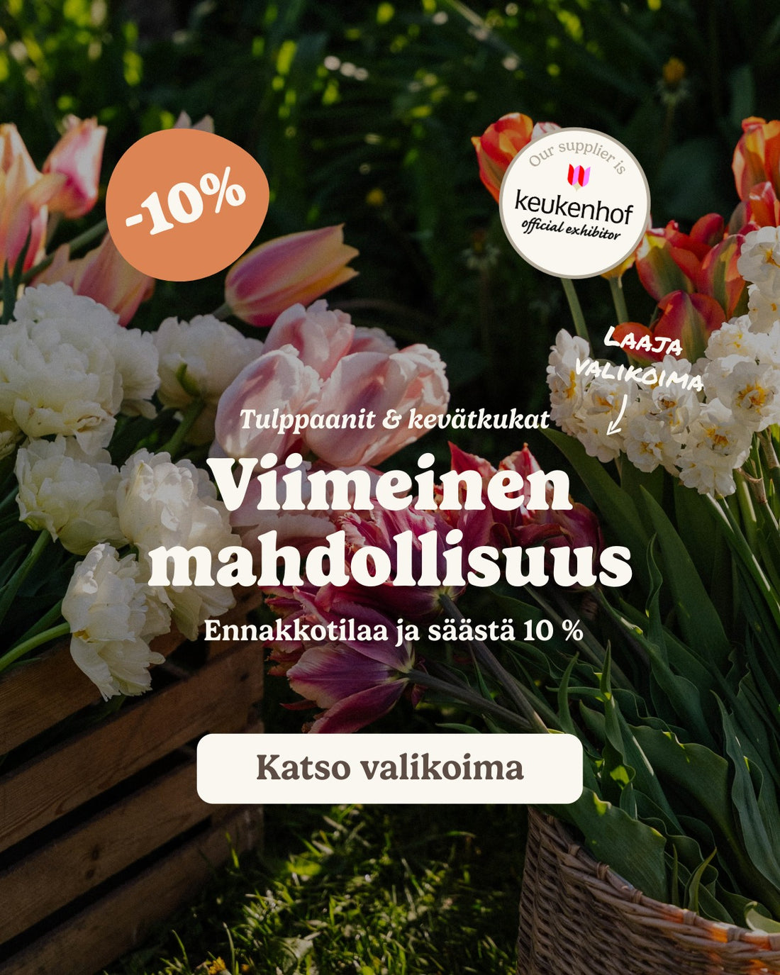 slider image slider_item_cVjxz7