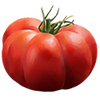 Pihvitomaatin siemenet