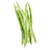 Vihannesten siemenet