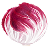 Vihannesten siemenet