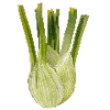 Vihannesten siemenet