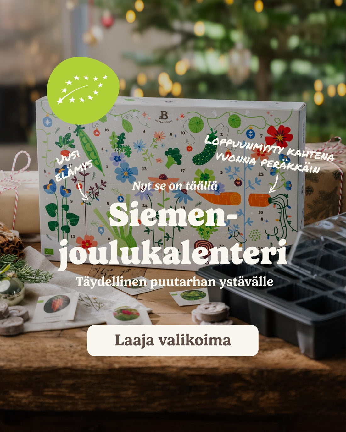 slider image slider_item_j6HeEe