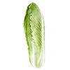 Kiinankaalin siemenet