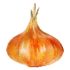 Vihannesten siemenet