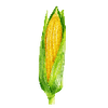 Vihannesten siemenet