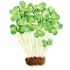 Mikroversot