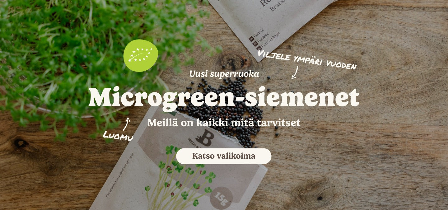 slider image slider_item_ctYXL3