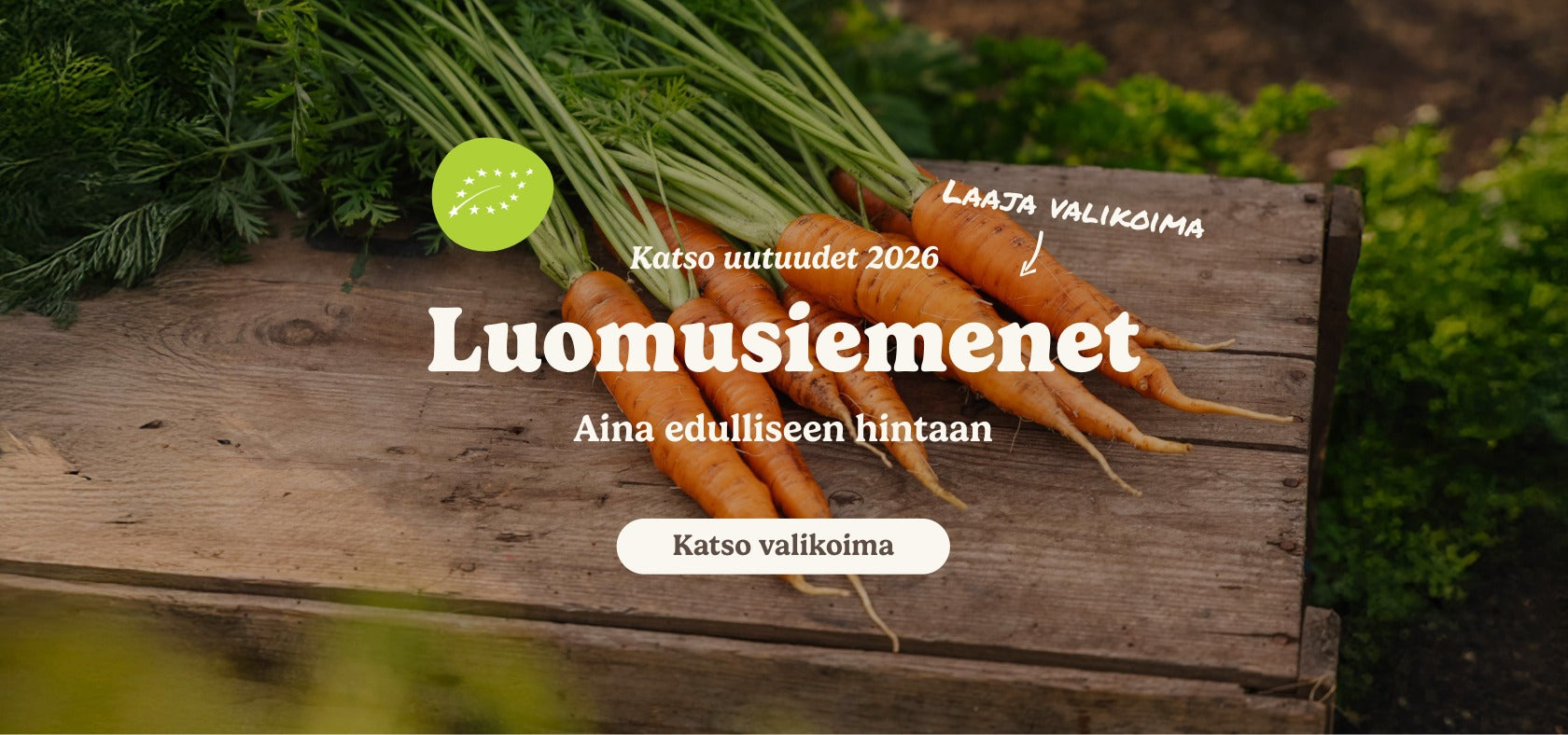 slider image slider_item_fKWtGT