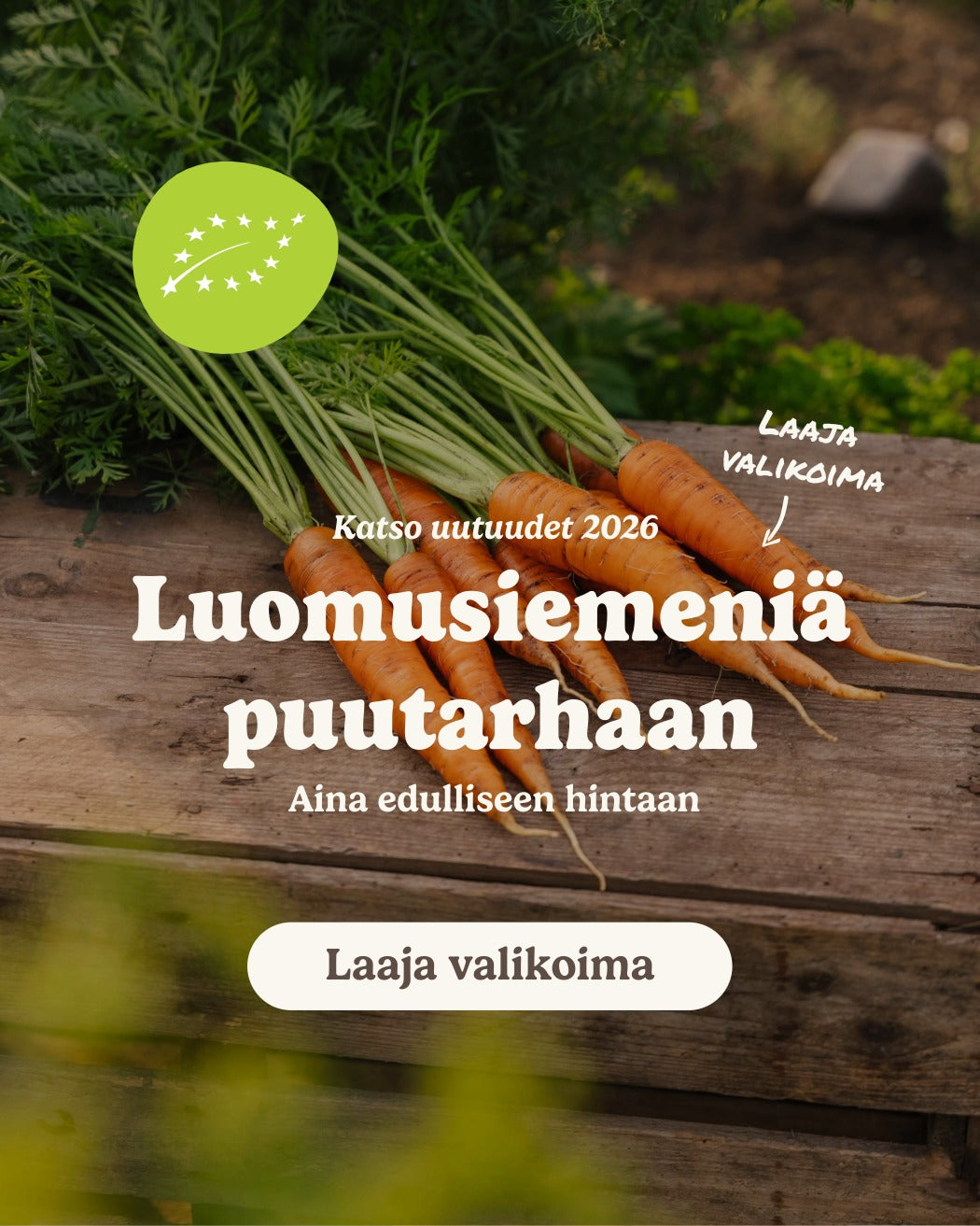 slider image slider_item_fKWtGT