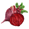 Vihannesten siemenet