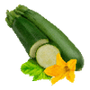 Vihannesten siemenet