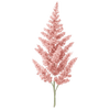 Jaloangervo paljasjuuritaimet / Astilbe