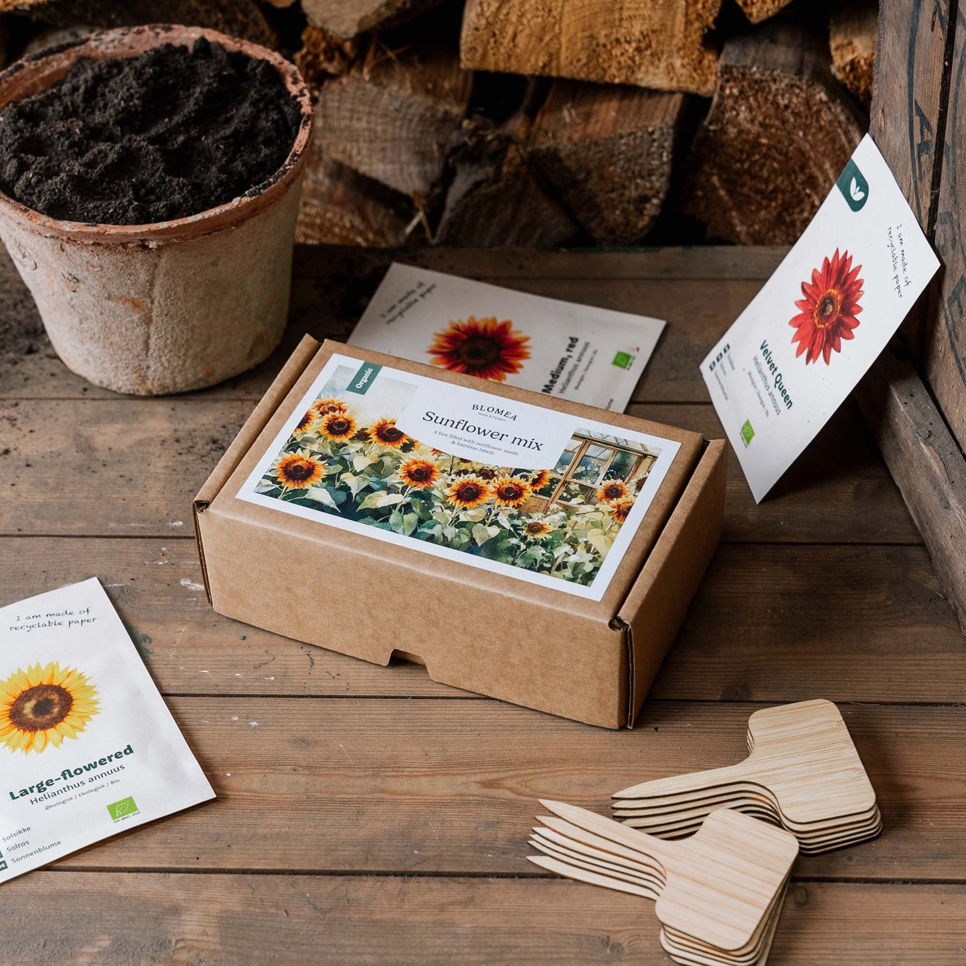 Auringonkukkalaatikko - 12 pussia luomusiementä