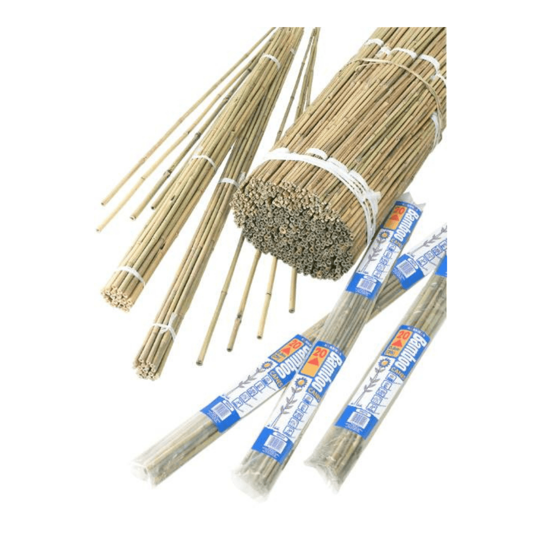 Bambukeppien nippu, Pituus 60 cm, 20 kpl.