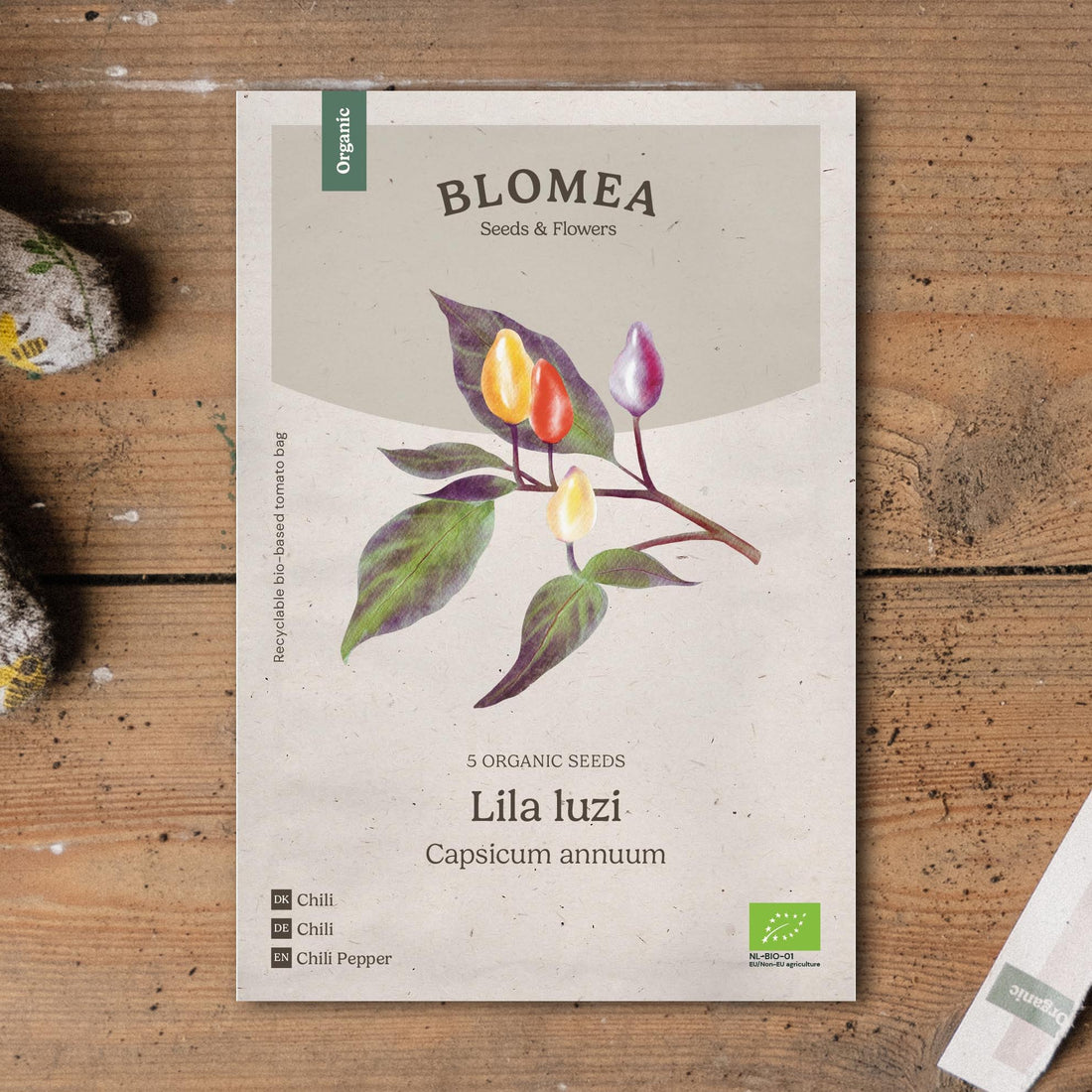 Chilin siemenet 'Lila Luzi' - 5 luomusiementä