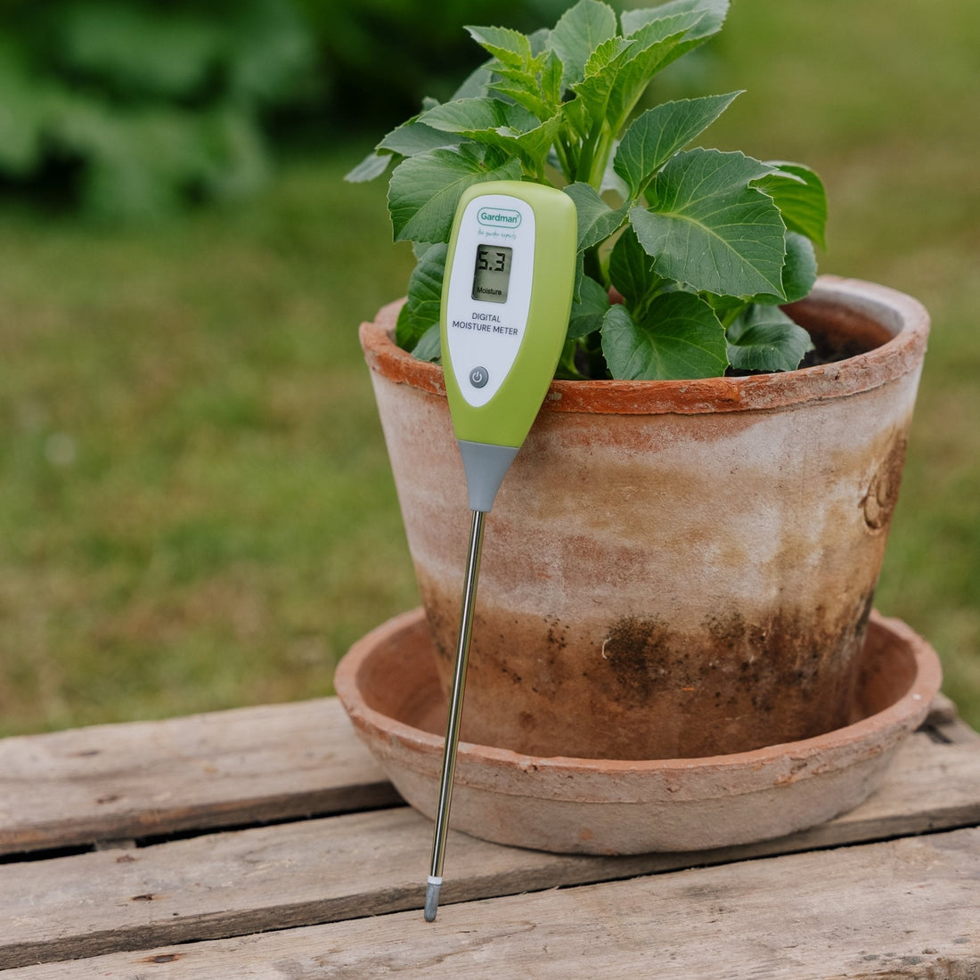 Digitaalinen kosteusmittari