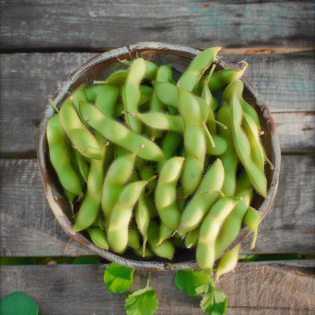 Edamame - siemenet 'Chiba Green' - 5 luomusiementä