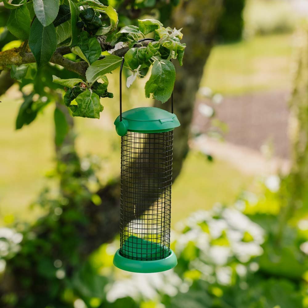 Flip Top maapähkinäruokinta - automaatti, Korkeus 20 cm