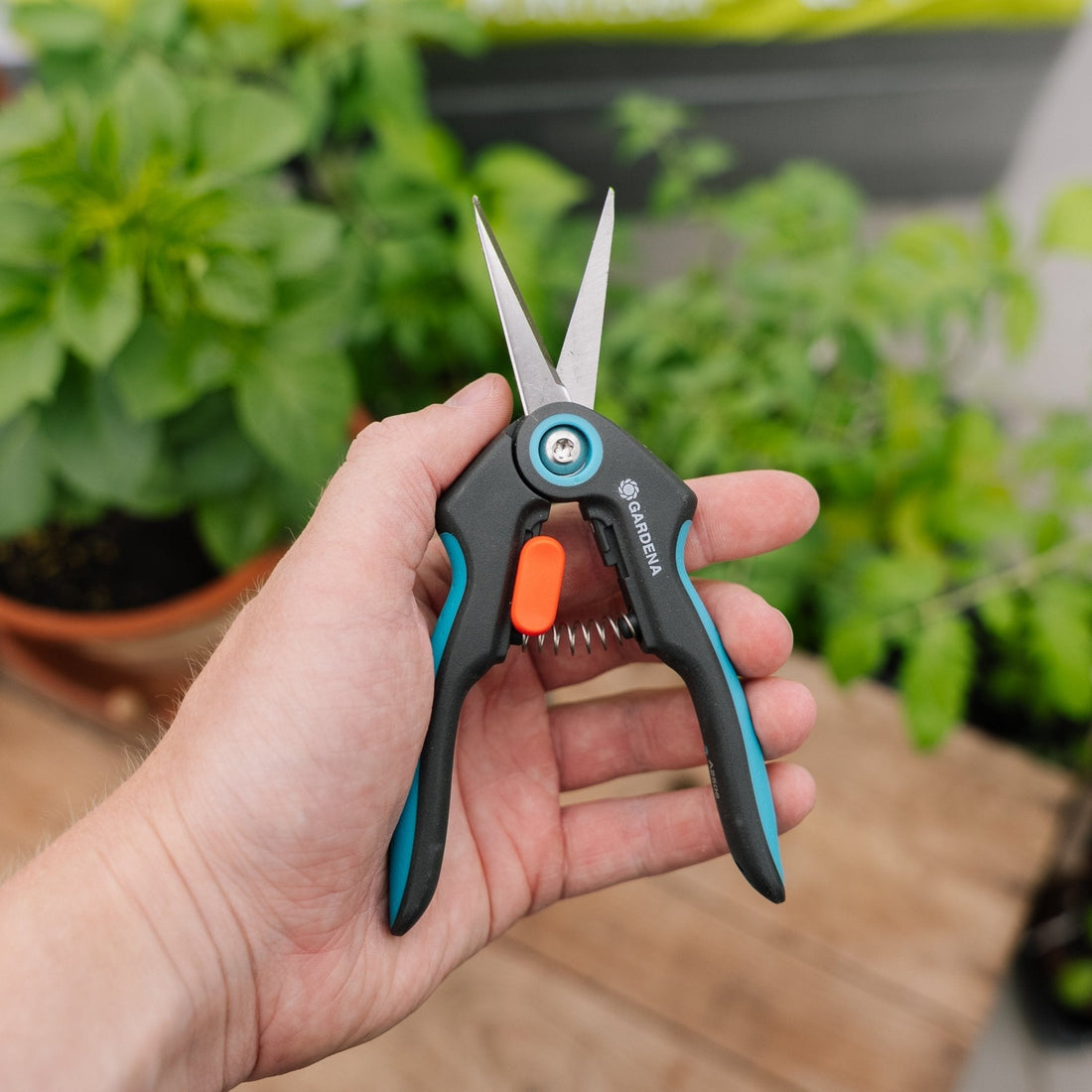 FreshCut - yrttisakset