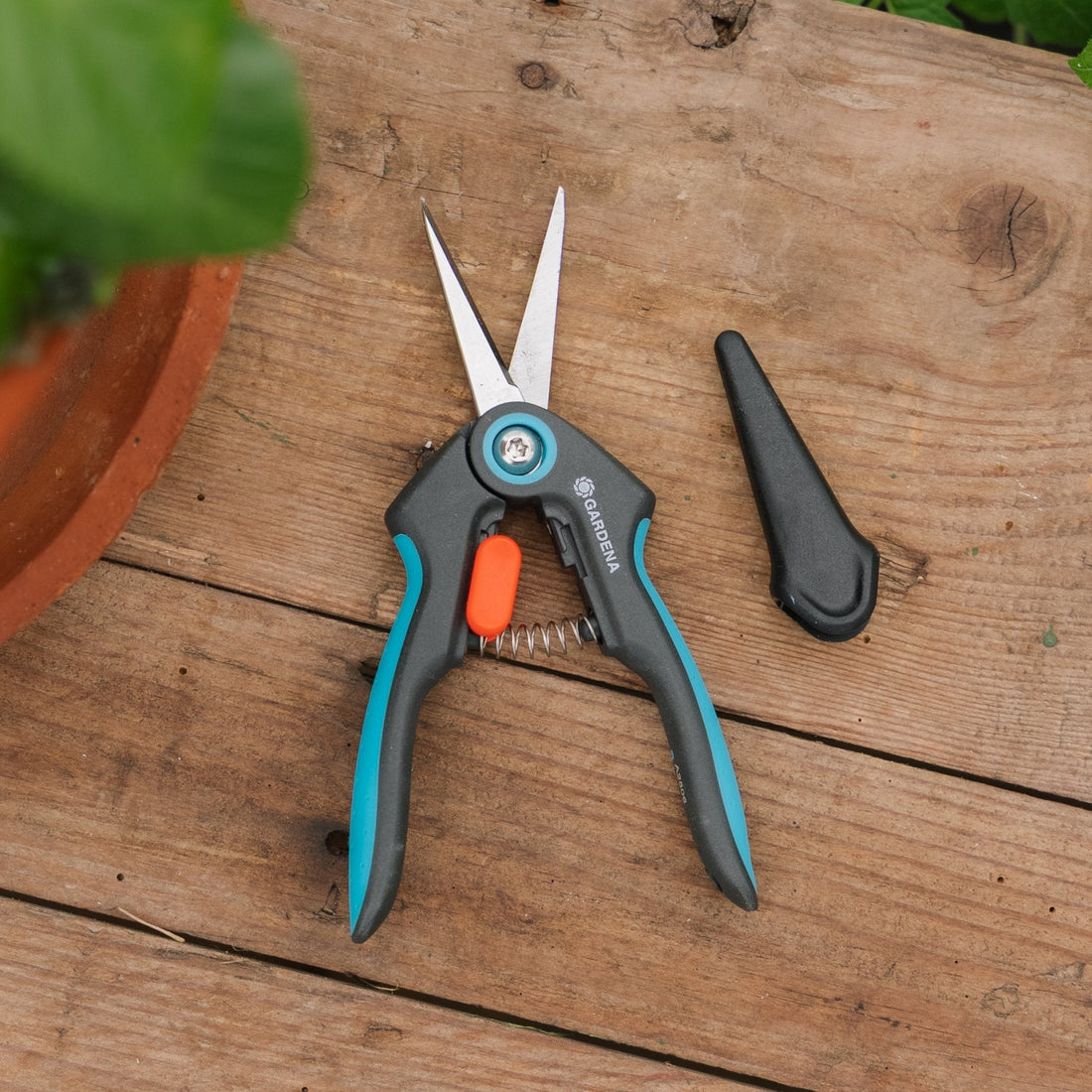 FreshCut - yrttisakset