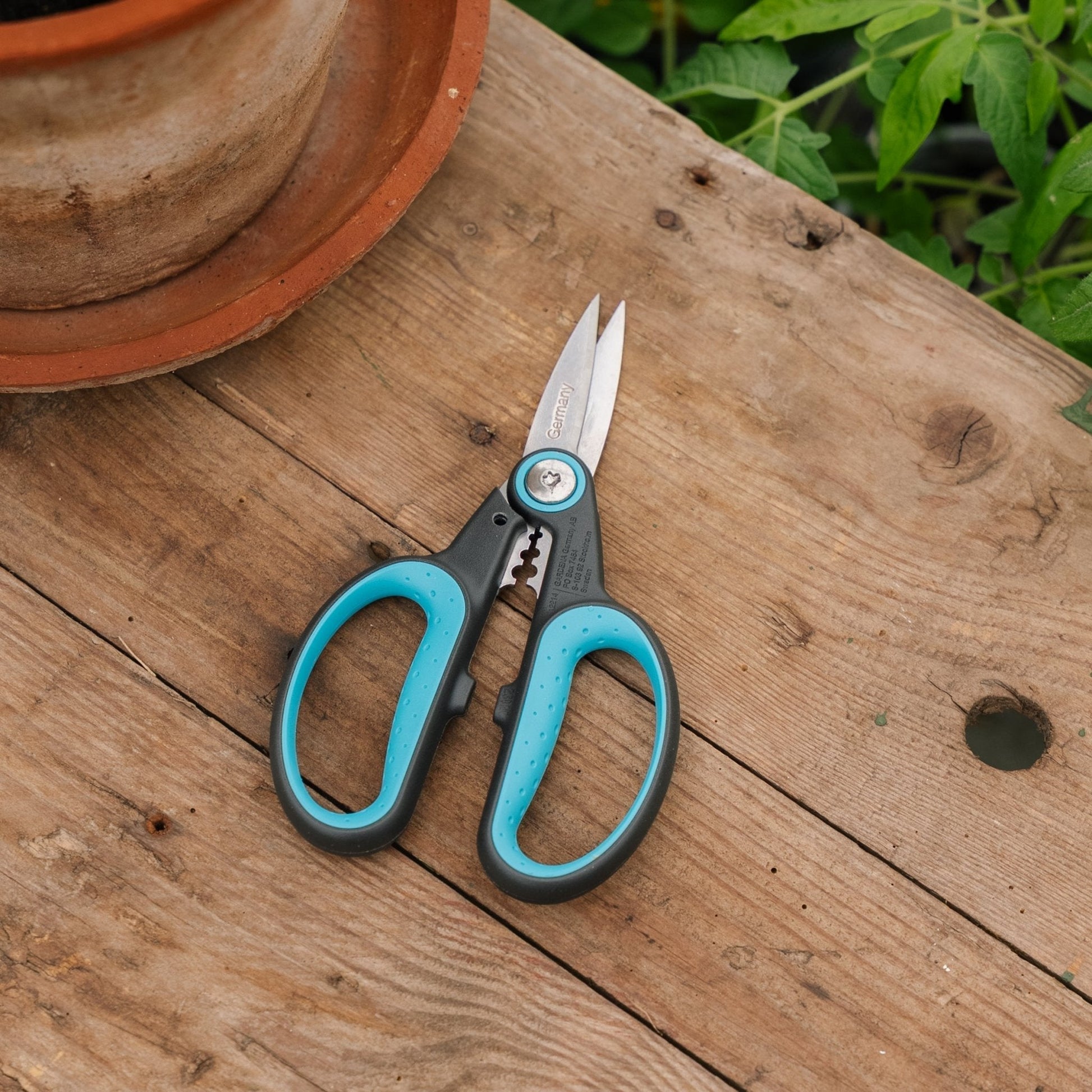 HerbCut - yrttisakset