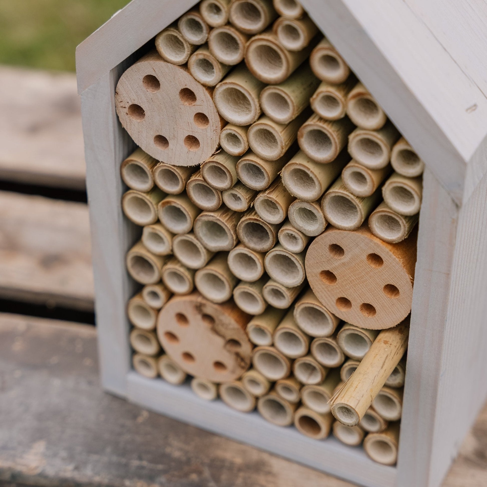 Hyönteishotelli, mänty, Pituus: 14 cm Leveys: 17 cm Korkeus: 28 cm