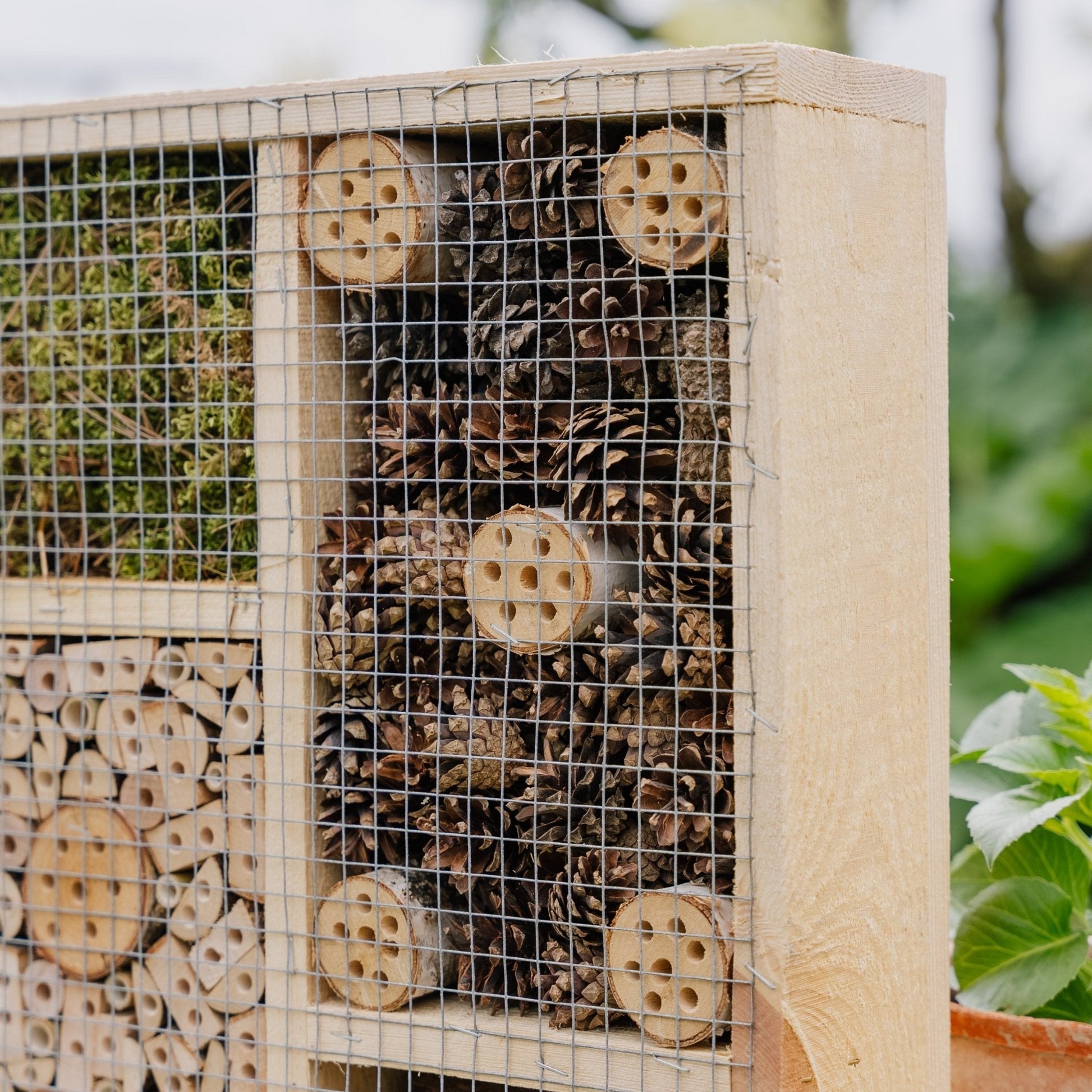 Hyönteishotelli, suuri, Pituus: 12 cm Leveys: 50 cm Korkeus: 38 cm