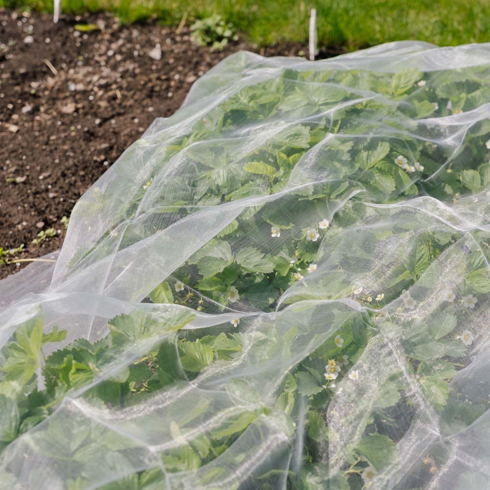 Hyönteisverkko, 2x5 m