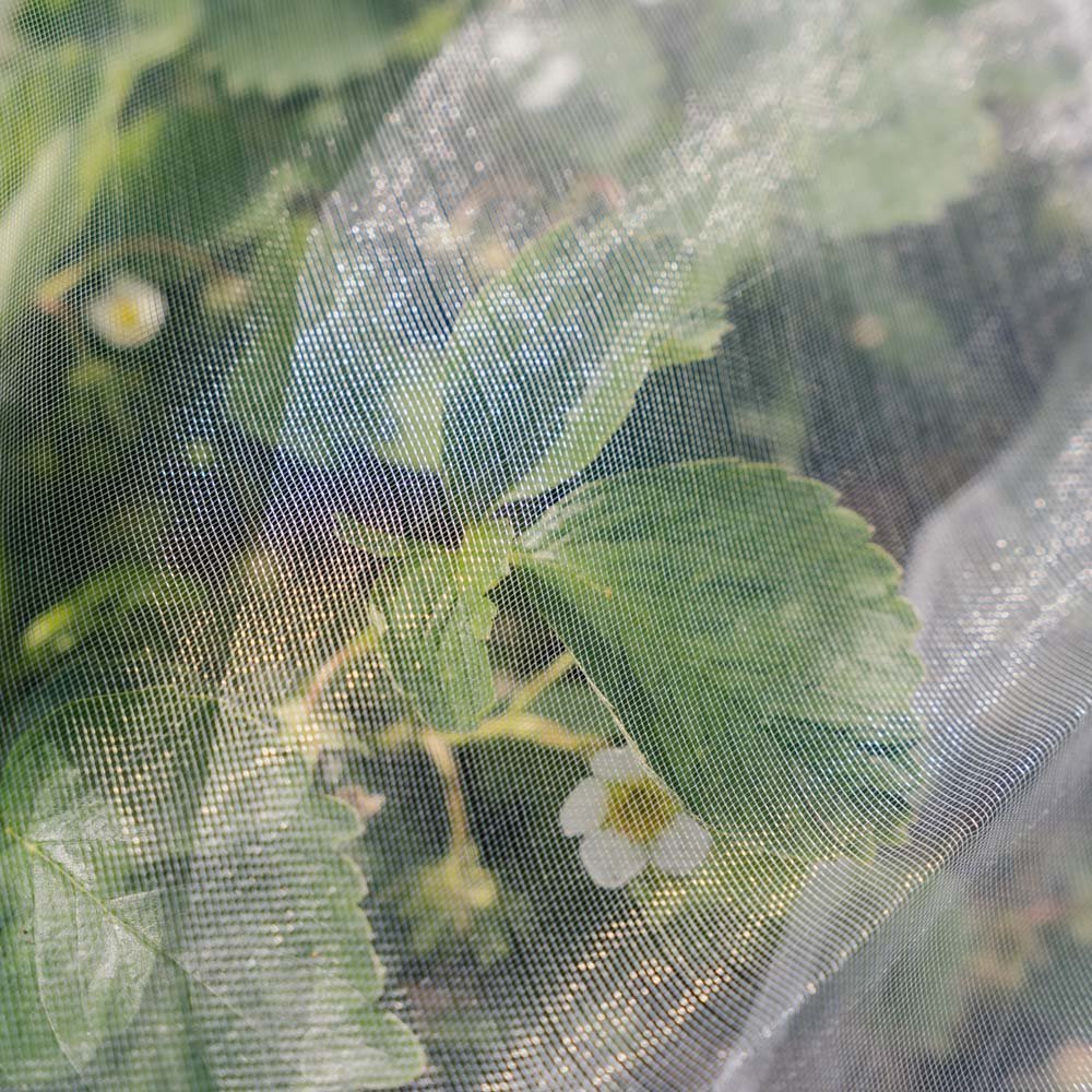 Hyönteisverkko, 2x5 m