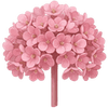 Vuorenkilpi paljasjuuritaimet / Bergenia